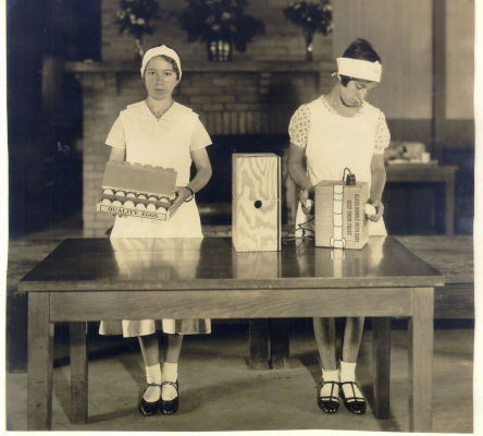 Egg Candling Demonstration