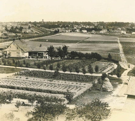 Georgia Experiment Station