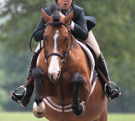 Georgia International Horse Park