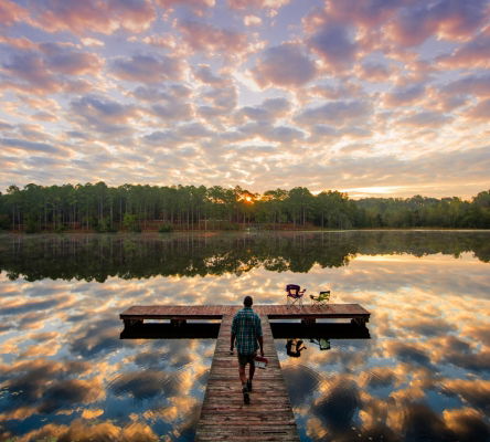 Gordonia-Alatamaha State Park