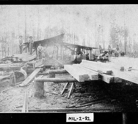 Leviston Sawmill