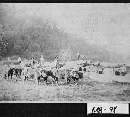 Logging, Rabun County