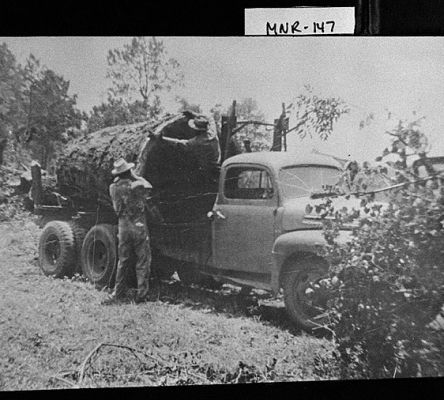 Monroe County Logging