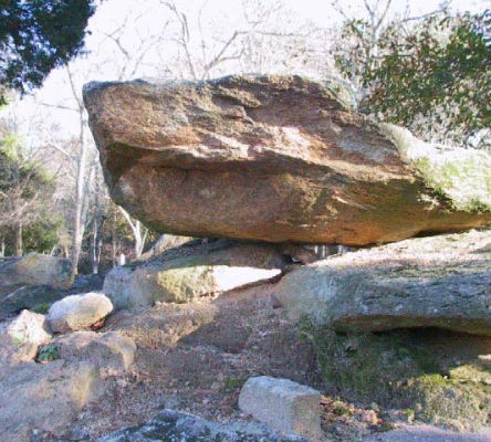Granite Outcrop at Panola Mountain