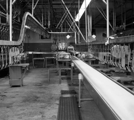 Poultry Processing Plant