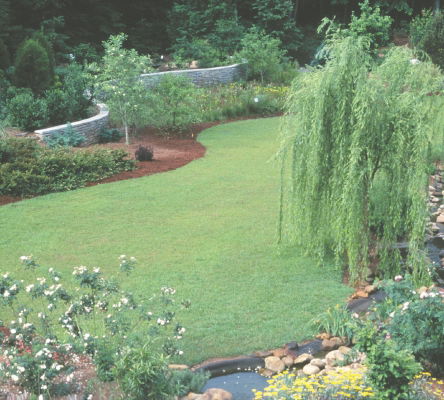 International Garden