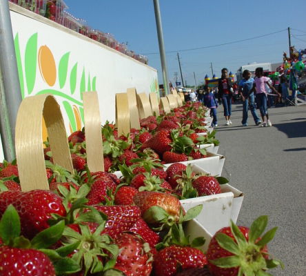 Strawberry Festival