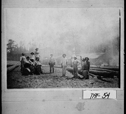 Tattnall County Sawmill