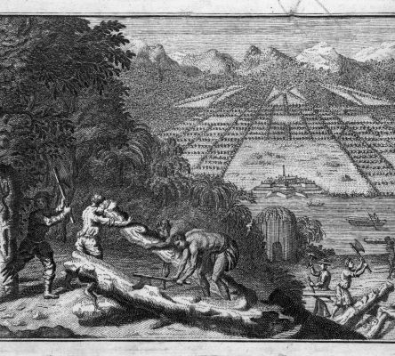 Trustee Garden Depiction