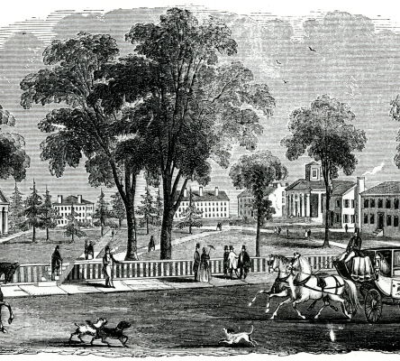 University of Georgia