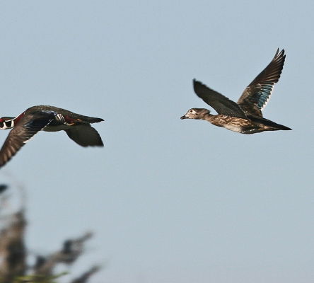 Grand Bay Wetland Education Center